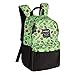 JINX Minecraft 16" Scatter Creeper Kids Backpack for School, Camping, Travel, Outdoors & Fun (Green, N/A)