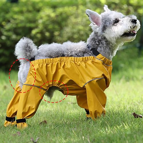 Pantalon pour chien haut de gamme avec bottes de marche intégrées - 4