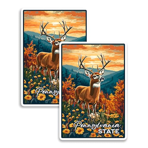 Imanes decorativos de vinilo pack 2 USA 4 pulgadas miniatura 1