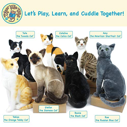 Viahart 850000897588 Boone The Black Cat - 13 Inch Stuffed Animal Plush thumb #5