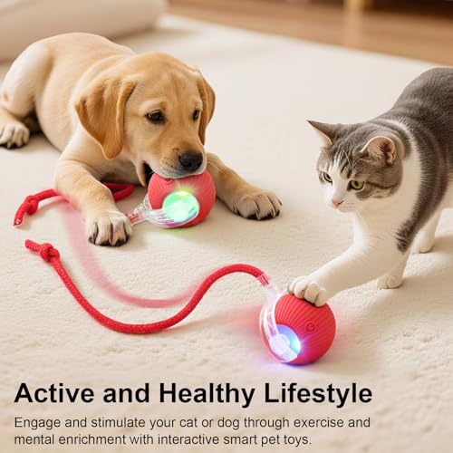 Interactive Automatic Rolling Electronic Stimulation Chase Ball Cat Dog Toy | Smart Electric Moving Stimulating Rechargeable Motion Activated Self Play Teaser for Boredom Small Dog Puppy Pet, with Rope - Image 3