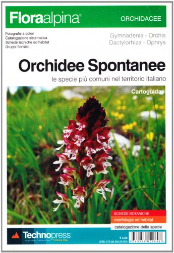 Orchidee spontanee. Cartoguid