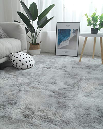 Rainlin Shaggy 6X9 Area Rug Modern Indoor Plush Fluffy Rugs, Extra Soft Comfy Carpets, Cute Cozy Area Rugs For Bedroom Living Room Girls Boys Kids, Grey #TOP6