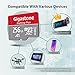【for Switch 1 Only】 GIGASTONE 256GB Micro SD Card 2-Pack, Gaming Plus, Nintendo-Switch 1 Compatible, R/W 100/60MB/s, 4K Video Recording, Micro SDXC UHS-I A1 U3 Class 10, with Adapter