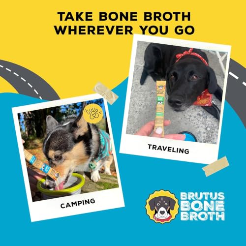 Image of Brutus Bone Broth for Dogs - Bone Broth Powder with Chondroitin Glucosamine & Turmeric - Human Grade Food Toppers for Dry Food & Picky Eaters - 5 Stick (Beef)