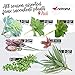 NATAMZ Artificial Succulents Fake Plants- 9 Pcs Set Faux Plants Indoor Home Decor Green Cactus Plant, High Realistic Unpotted Fake Flowers for Decoration, DIY Greenery