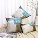Set of 2 Decorative Pillow Case Throw Pillows Covers for Couch Indoor Bed 18 x 18 Inch, Blue Brown Abstract Art Painting Home Sofa Cushion Cover Pillowcase Gift Bed Car Living Home