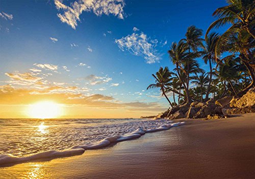 Mtmety 10X7Ft Sunset Beach Palm Tree Background For Summer Vacation Photography Backdrop Vinyl Photograph Video Studio Props Pme575 #TOP4