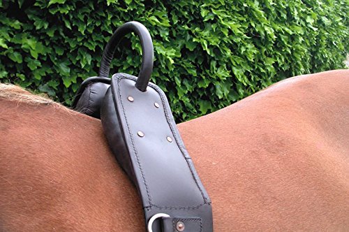 IV Horse Anti Cast Roller in Havana