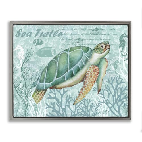 Coral Bordered Sea Turtle Script, 17 x 21 Inch Canvas in Floater Frame