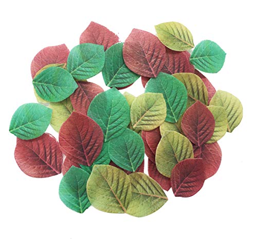 Set di 45 topper per cupcake commestibili, foglie