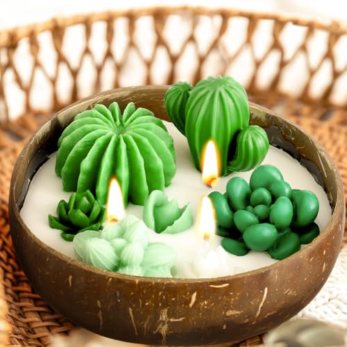 Conelist Succulent Cactus Scented Candle 5.9'' Coconut Scent for Home