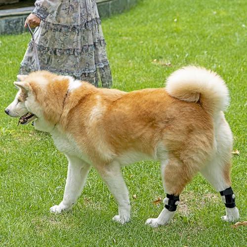 Image of 2025 Dog Leg Braces Dog Knee Brace for Back Leg- Dog Hip Brace for Torn Acl and Joint Relief -Dog Leg Sleeve - Dog Back Leg Support and Joint Supplement Black (L)