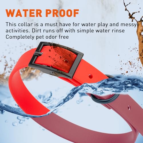 Image of Dogline Biothane Waterproof Dog Collar Strong Coated Nylon Webbing with Black Hardware Odor- Proof for Easy Care Easy to Clean High Performance Fits Small Medium or Large Dogs, Cherry Red