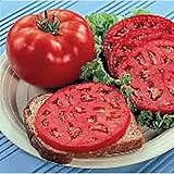 Park's Whopper Improved Tomato Seeds (25 Seed Packet) (More Heirloom, Non GMO, Vegetable, Fruit, Herb, Flower Garden Seeds at Seed King Express)