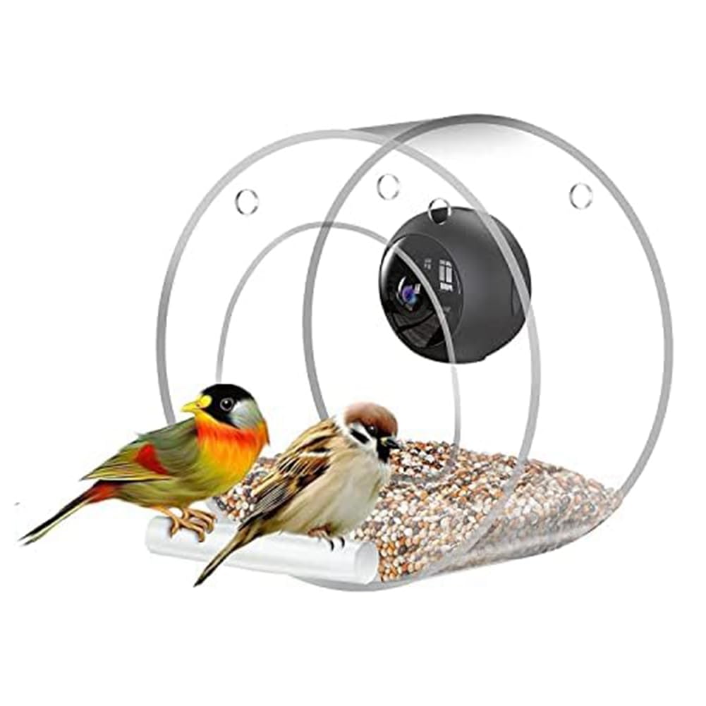 Comedero para pájaros de plástico con cámara de observación de pájaros, conexión remota para teléfono móvil para observación de