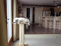 Review Image by Abby Abby