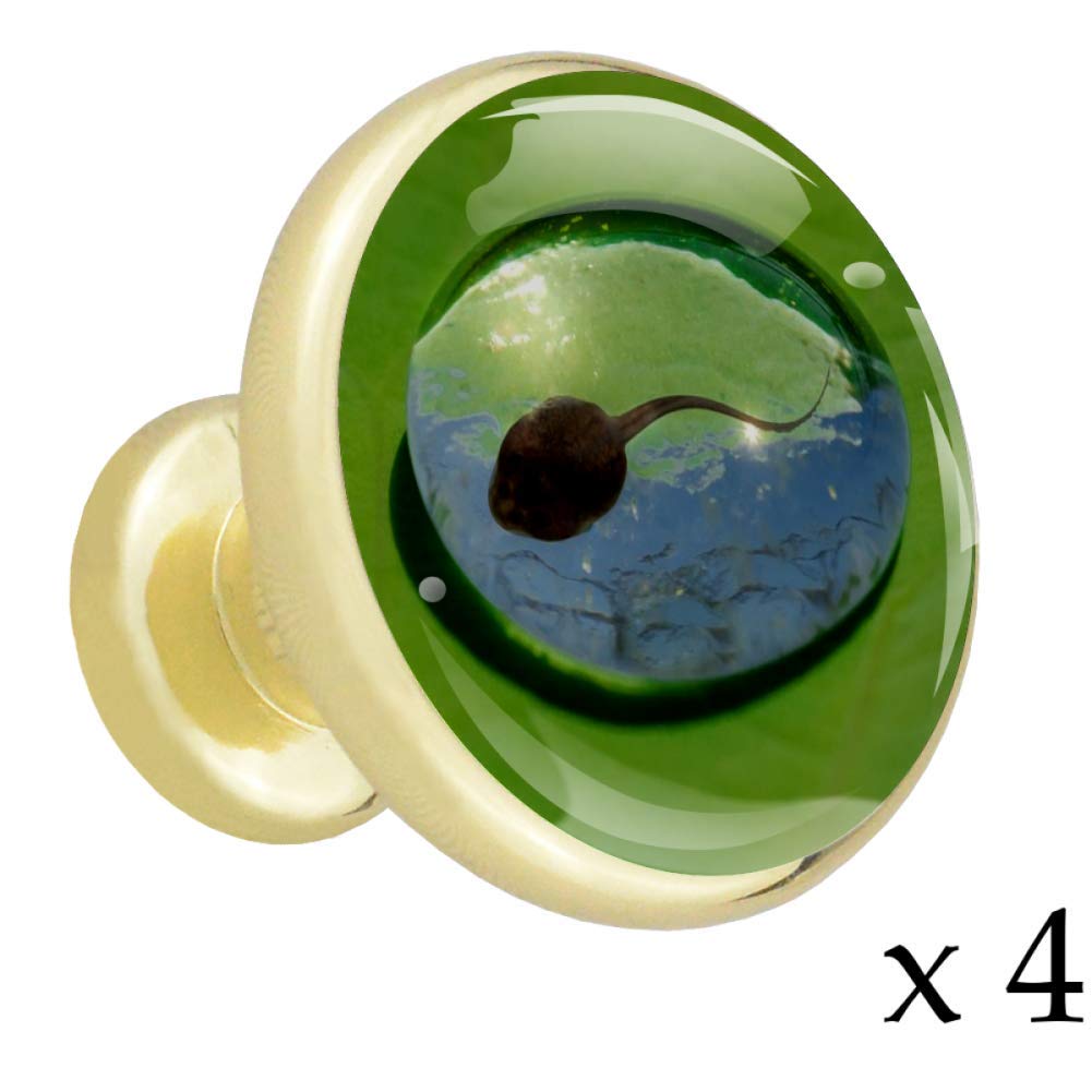 Tadpole Cupboard Handles Gold Round Solid Metal Kitchen Cabinet knobs with Crystal Glass for The Door of Drawer Dresser Wardrobe Pull（4 pcs）