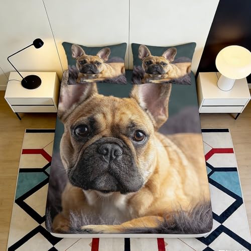 Lenzuolo con Angoli 3D Stampato Bulldog Francese in Microfibra Antiscivolo Tasche Profonde Set Letto Bulldog Francese Mattress Fitted Cover Lavabile 200x220x25cm 200x200x25cm
