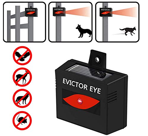 XZYP Solar Powered Ultrasonic Animal Repeller, Repel Unwanted Animal: Cats and Dogs, Squirrels,Raccoons