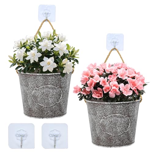 Zuxbolf 2 Stücke Hängende Blumentöpfe Metall Vintage Blumenkorb Hängeampel mit Juteseil & Klebehaken für Wanddekoration Halbrunde Blumenampel Hängetopf für Balkon Garten Wohnzimmer(14 * 13.5cm) Zuxbolf 2 Stücke Hängende Blumentöpfe Metall Vintage Blumenkorb Hängeampel mit Juteseil & Klebehaken für Wanddekoration Halbrunde Blumenampel Hängetopf für Balkon Garten Wohnzimmer(14 * 13.5cm)