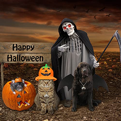 RANYPET Hund Fledermaus Kostüme Halloween Haustier Kostüm Fledermausflügel Cosplay Hundekostüm Katzenkostüm für Party
