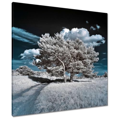 Peinture imprimée sur toile 70x70 cm Sapling toile murale carrée nature H1201Z