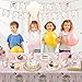 AWLZJZQA Fairy Birthday Decorations Serve 24 Guests Birthday Party Supplies Disposable Plates and Napkins Dinnerware Sets for Fairy Themed Baby Shower Garden Party Decor