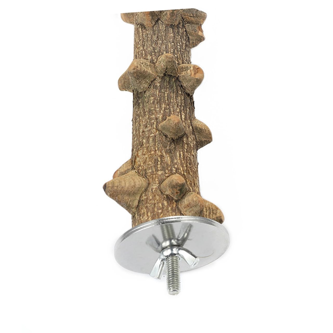 minkissy 3 Stücke Vogel Sitzstange Für Käfig Papagei Spielständer Natürliche Holz Vogel Spielzeug Ständer Für Papageien 25x2 5x2 5 cm Vögel Zubehör