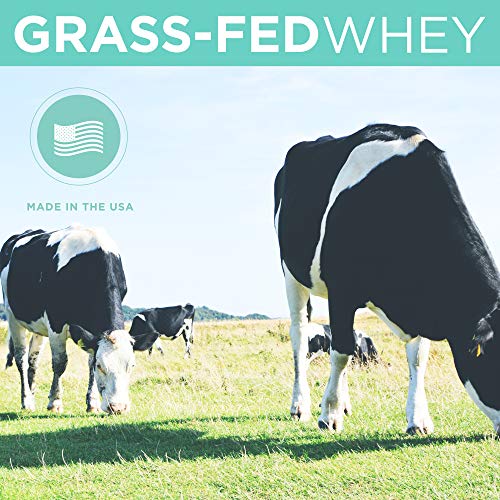 Grass Fed Whey Protein Chocolate 2lb - 100% Pure and Natural - 2lb/24 Servings - 24g Protein - Cold Processed - Non-GMO - rBGH-Free - High Quality from Happy Healthy Cows USA - Thumbnail 5