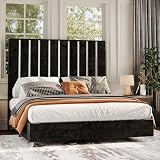 AMERLIFE Queen Bed Frame with 58' Tall Headboard, Silver Mirror-Plated Trim Platform Bed with Velvet Upholstered, Modern and Luxury Bed, No Box Spring Needed, Black