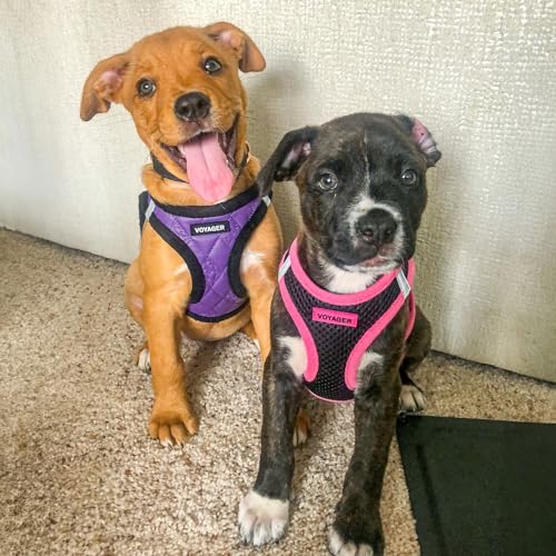 Best Pet Supplies - All Weather Plush, Reflective, No Pull Harness for Small, Medium Dogs, Cats - Secure with Hook & Loop Fastener, Buckle, Double D-Rings - Purple Faux Leather, S by Best Pet Supplies - Image 7