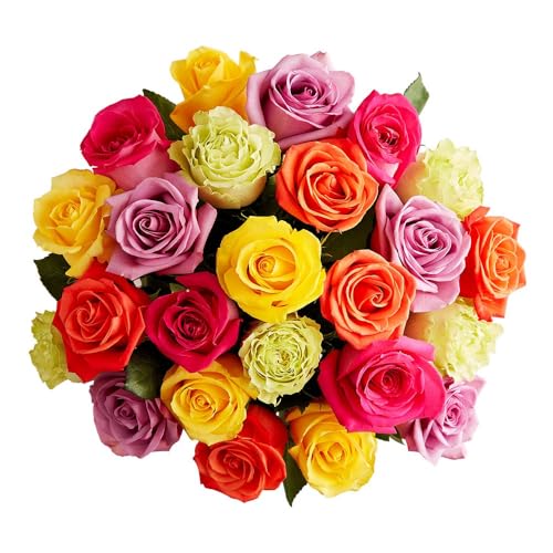 1800 Flowers – 24 Stem Assorted Bright Roses (Bouquet Only) | Fresh Cut Spring Flowers for Delivery | Gift for Mother's Day, Anniversary, Sympathy, and Special Occasions