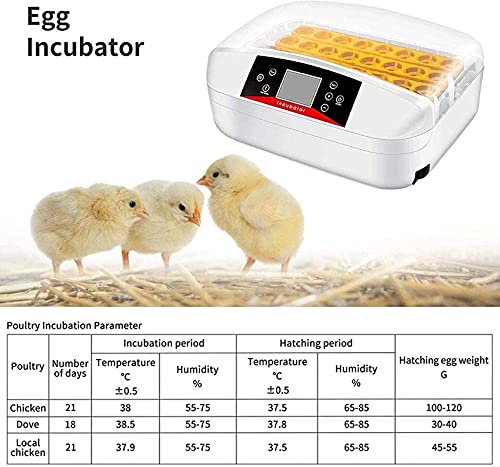 Automatische eiincubator, 32 eieren geleid High-efficiëntie Automatische ei draaien en temperatuurregeling, automatische… - Afbeelding 7