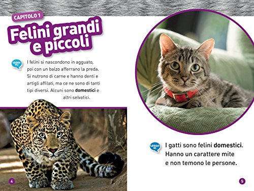 Felini. Livello 1. Ediz. illustrata