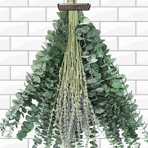 Image of Mixed Dried Eucalyptus Stems with Lavender Flowers Bundle for Shower, 17'' Natural Eucalyptus Leaves Branches Hanging Shower Plant for SPA Home Fragrance Bathroom Table Vase Decor, 2 Pack