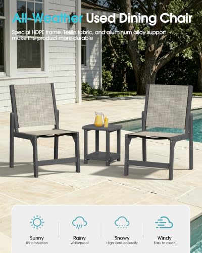 Image of Ciokea HDPE Outdoor Dining Chair of 2, Patio Stackable Porch Chairs, Grey