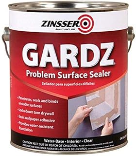 Rust-Oleum Corporation 02301 Problem Surface Sealer, 1-Gallon, Clear
