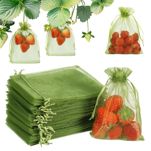 Shintop 100Pcs Fruit Protection Bags, 4x6 Inch Green Strawberry Netting Cover Drawstring Mesh Bags Pest Barrier for Blueberry Small Fruit