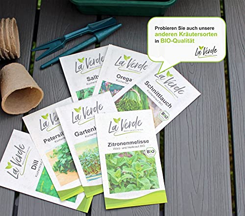 Kerbel BIO Kräutersamen