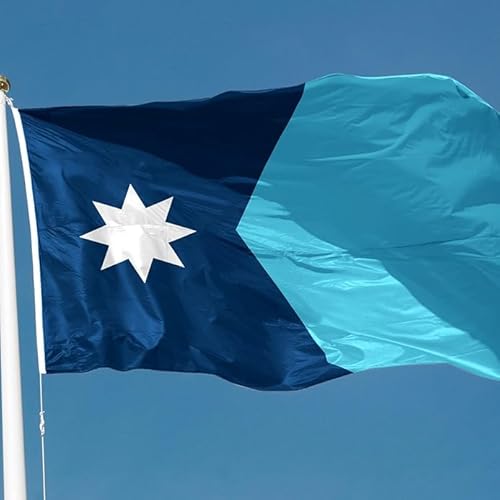 MN's new flag sales are spiking - are people good with it now?