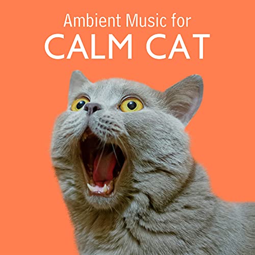 Ambient Music for Calm Cat: Soothing Melodies for Lonely Time, Anxiety ... - Cat Stress And Anxiety Soothing Vocalizations
