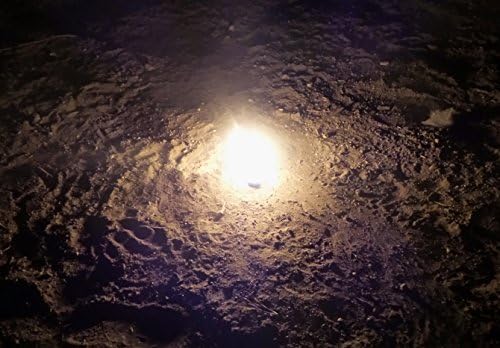 Radish Fire Starter For Camping, Fire Place, Recreation, Wet, Windy, Cold, Emergency Long Burning Cotton Fire Starter. 1 Pack of 4 Burners and 6 Mini Torches