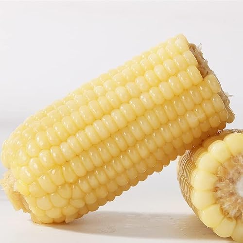 퉷ʕ  ʕ Sʕ ʕ uʕ Ƃ낱ʕ 䚕 ς ߂邾 ^pbNR[ ؐH Y