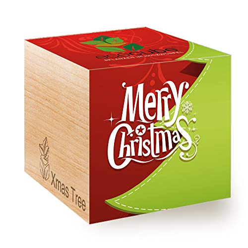 Feel Green Ecocube Merry Christmas/1R, Albero di Natale, Idea Regalo sostenibile (100% Eco Friendly), Grow Your Own/Set di Coltivazione, Piante nel Dado di Legno, Made in Austria
