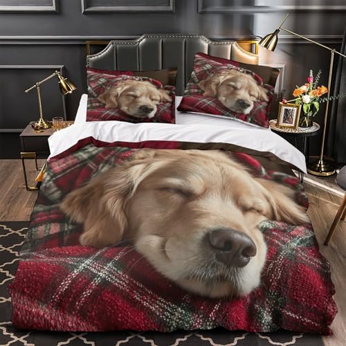 Parure de lit hypoallergénique microfibre chat pour sommeil sensible - 2