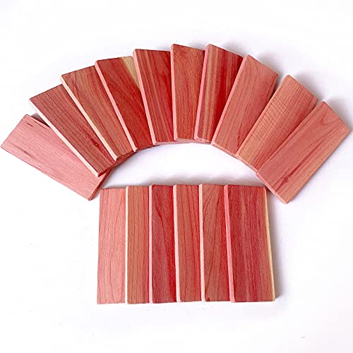 Cedar Blocks for Clothes Storage,16 Pack Cedar Blocks for Closet,100% Red Cedar Blocks for Storage, Aromatic Cedar Blocks for Closet and Drawer