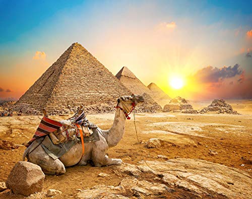 Giza Sunrise Ancient Egypt Pyramid Puzzle for Adults and Kids | Difficult 1000 Piece Jigsaw Puzzle Toy | Fun Quarantine Gift | Interactive Brain...