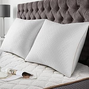 BedStory Bambus-Kissen, 60x60 cm, 2 Stück
