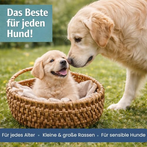PetLove Fleisch Softies für Hunde • Hundeleckerli ohne Getreide • 63% Fleischgehalt • Hunde Leckerlis für Training • Strauß (3x200g)